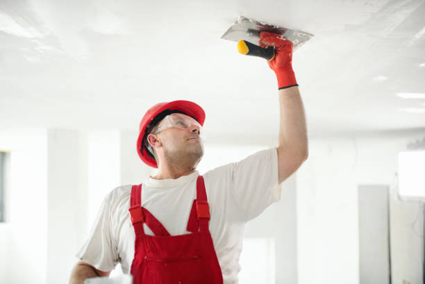 Best Drywall Removal and Disposal  in Sarand, AL